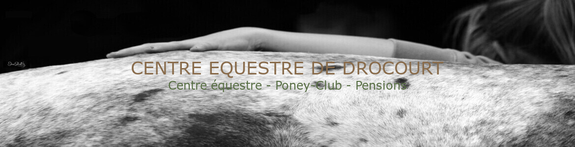 CENTRE EQUESTRE DE DROCOURT